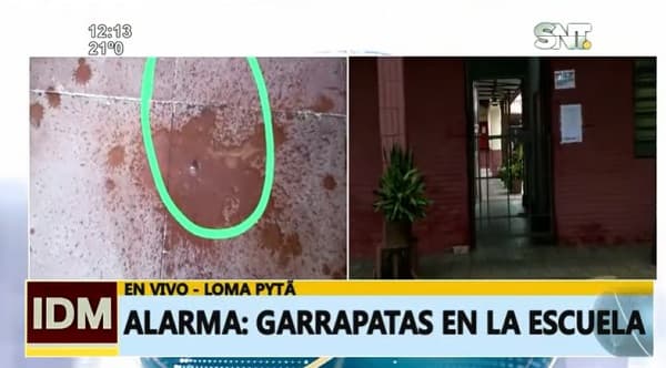 Padres denuncian que escuela está minada de garrapatas