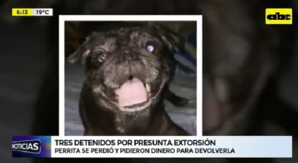 Detienen a tres sujetos por el secuestro de una perra
