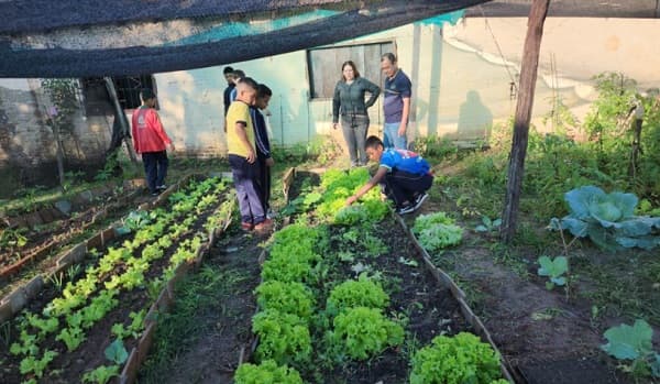 Alumnos producen hortalizas para ayudar a un comedor de niños de Concepción