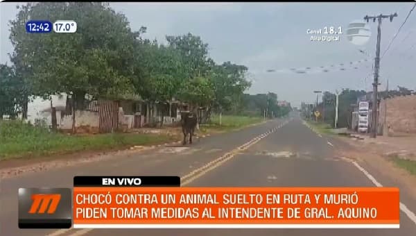 Animal suelto provoca un choque fatal en General Aquino
