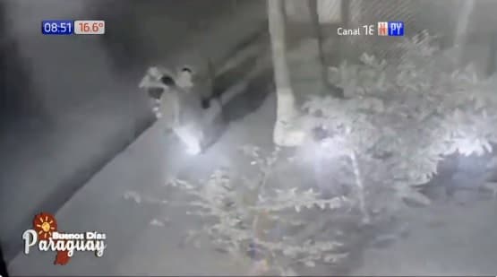 Fiscalía asegura que hombre murió por infarto, pero familia atribuye a “somnileras”