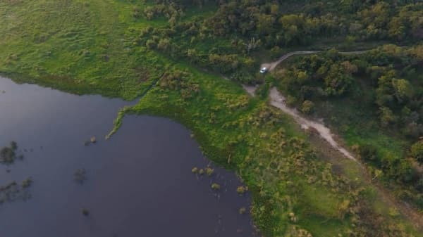 Recuperación exitosa de humedales en Lago Ypacaraí
