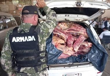 Incautan 6.000 kilos de carne en Presidente Franco