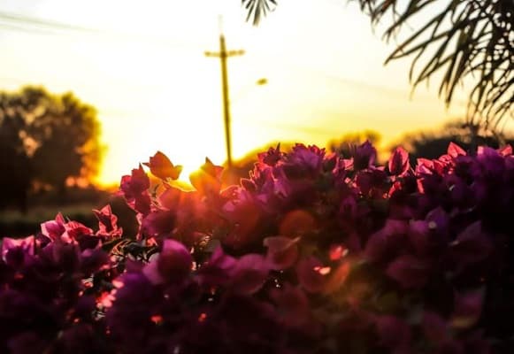 Cambios en el clima: De amaneceres fríos a un fin de semana cálido