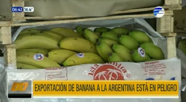 Exportadores de bananas en vilo por impagos argentinos
