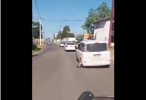 Conductor escapa con cepo y es detenido por la Policía y PMT