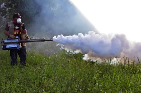 Verano epidemiológico: Riesgos y prevención ante el Dengue y Chikunguña
