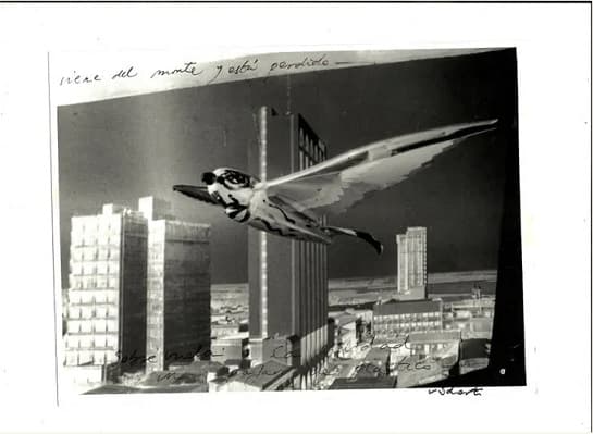 “Monocromo Py”: Un viaje visual por Paraguay a través de 30 lentes fotográficos