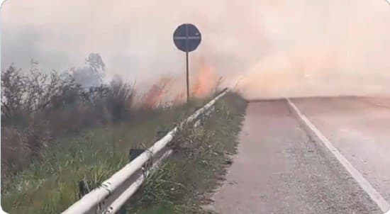 Incontrolable incendio en reserva de Luque – San Bernardino