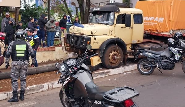 CDE: Lince herido en accidente y conductor huye