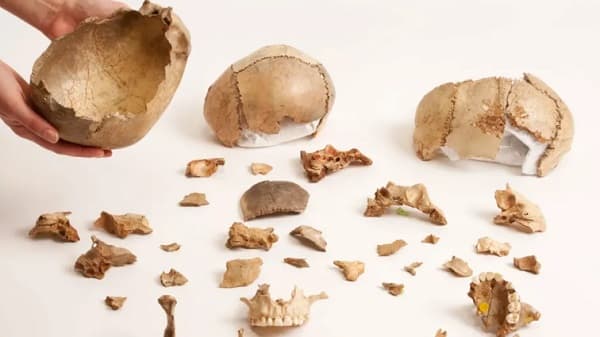 Revelan rituales antiguos de canibalismo funerario en Europa