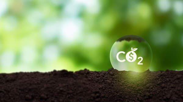 Diputado alerta sobre tratamiento ‘apurado’ de ley de créditos de carbono