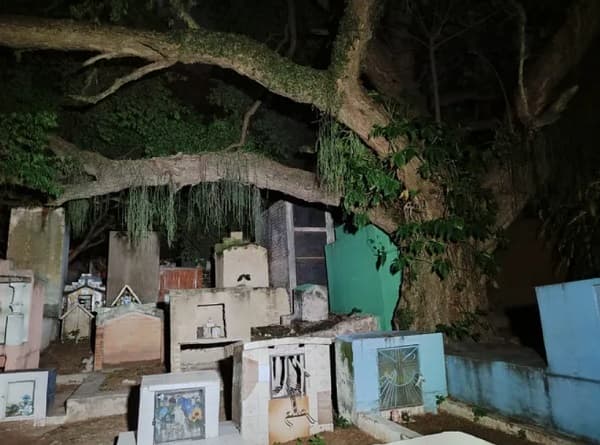 Vigilancia y fenómenos inexplicables: Cementerio del Sur en alerta por Halloween