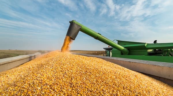 Paraguay lidera en proyecciones económicas en Sudamérica para 2023, según FMI