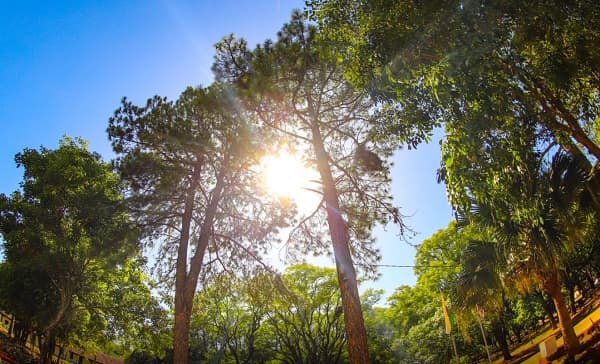 Arranca agosto con calor y viento del noreste