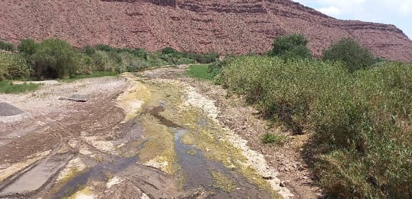 Emergencia hídrica en Pilcomayo: Sequía severa afecta a comunidades y productores