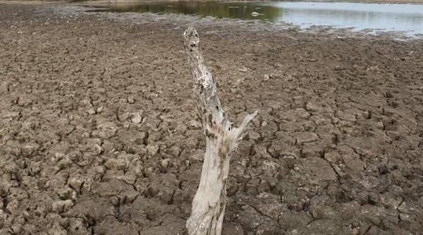 Crisis hídrica en el Chaco Paraguayo: Ministro de Defensa denuncia situación ‘dramática’