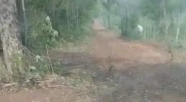 ¡No al vertedero! Concepción se levanta en defensa del Arroyo Yuiy