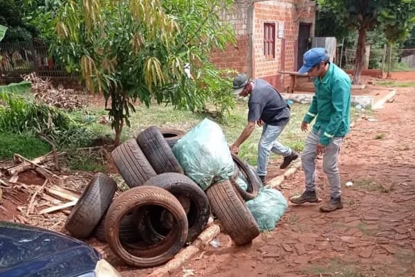 Día Nacional contra el Dengue: la lucha continúa