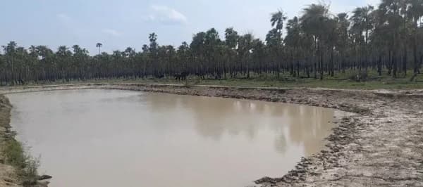 Lluvias en el Chaco: Un oasis de esperanza en medio de la sequía