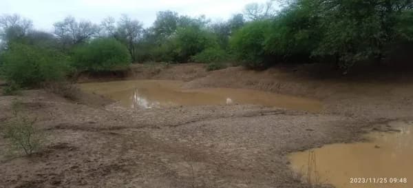 La lluvia en el Chaco: Un alivio insuficiente frente a ocho meses de sequía