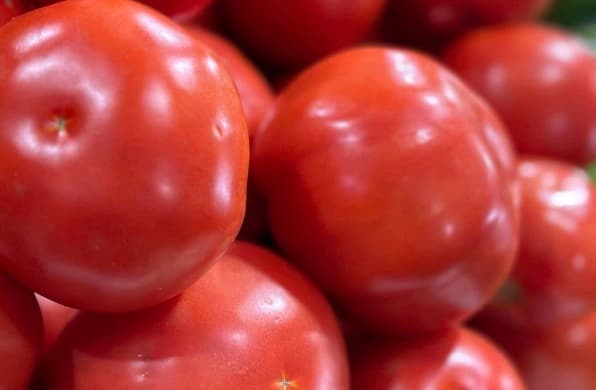 ¡Alivio al bolsillo! Precio del tomate en Abasto se desploma un 50%