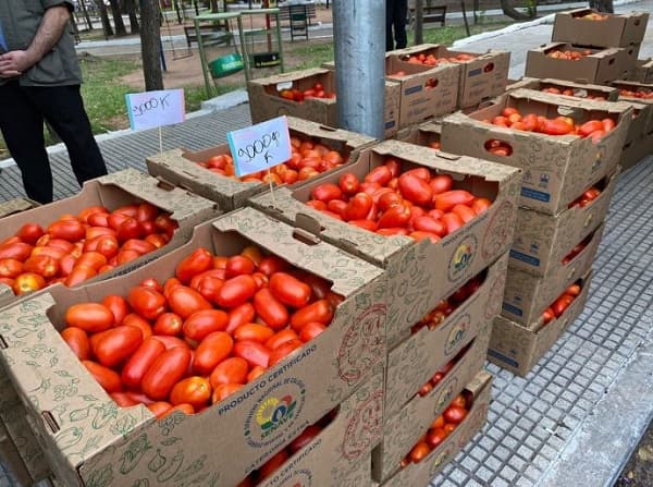Tomate a mitad de precio en Asunción
