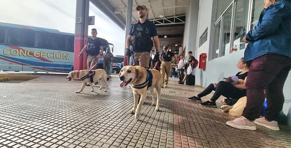 Operativo Año Paha: Senad refuerza vigilancia en terminal con canes