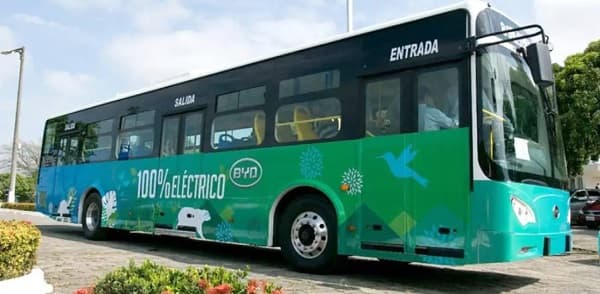 Encarnación impulsa revolucionario sistema de transporte