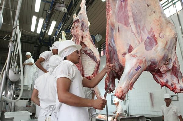 Exportación de carne vacuna ingresa USD 1.411 millones a la economía paraguaya