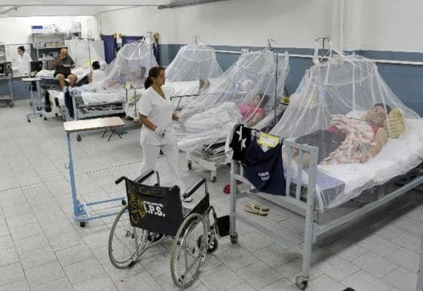 Dengue afecta principalmente a niños en actual epidemia