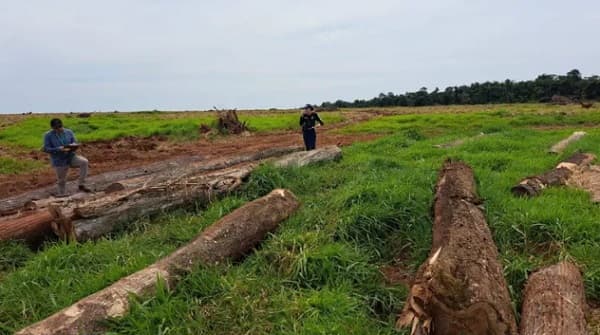 Irregularidades ambientales en exestancia en Caazapá