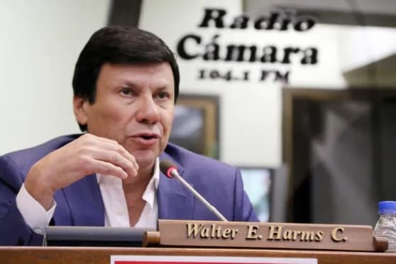 El diputado Walter Harms y tres personas fallecen en accidente aéreo