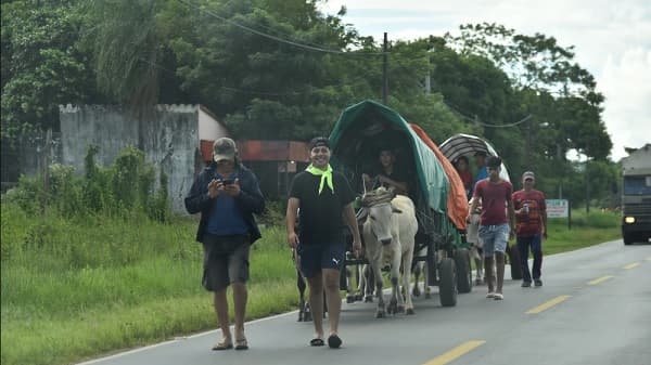 Operativo Caacupé 2023: Novedades en circulación y restricciones