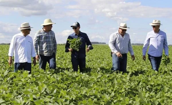 Paraguay en el Top 3 de crecimiento según Cepal: ¿Qué factores lo impulsan?