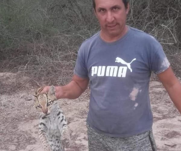 Tirika cachorro asesinado y despojado de su piel: Crimen animal en redes sociales