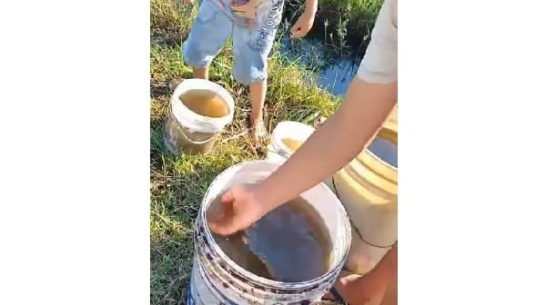 Falta de agua en Villa Hayes: Desesperación de los vecinos