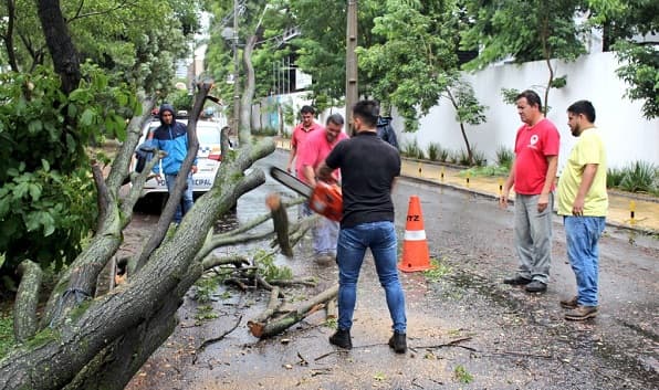 Temporal en Asunción derriba árboles y desplaza vehículos