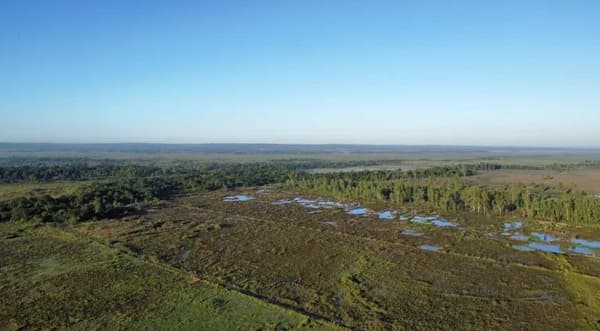 Arroyos y Esteros: agricultores se oponen a la construcción de vertedero en la compañía Mainumby