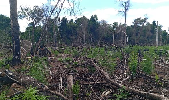 Operativo antidrogas exitoso en Reserva del Mbaracayú
