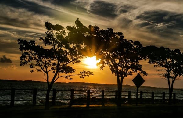 Martes de calor sofocante con vientos moderados del norte