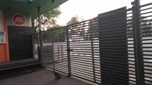 Temporal obliga cierre temporal del Parque Ñu Guasu