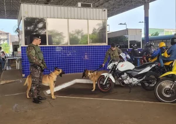 Brasil despliega Ejército en fronteras con Paraguay y Argentina para frenar crimen transfronterizo