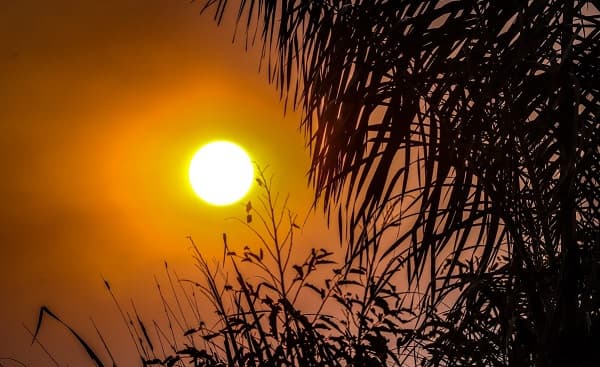 Calor extremo se mantendrá este martes sin probabilidad de lluvias