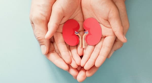 Un acto de amor: Familia dona órganos y salva dos vidas