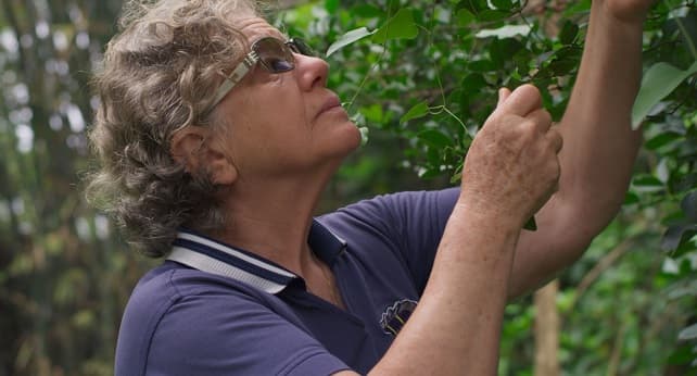 Semana del Cine Paraguayo 2025: cine, memoria e investigación