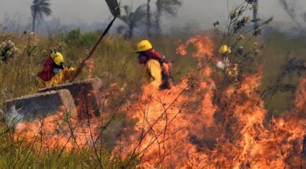 Bomberos identifican a pirómanos en medio de ola de incendios