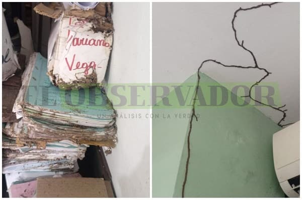 Termitas y corrupción corroen Juzgado de Paz de Lambaré