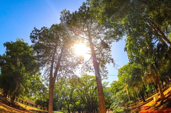 Pronóstico del tiempo: calor sofocante y tormentas eléctricas a la vista