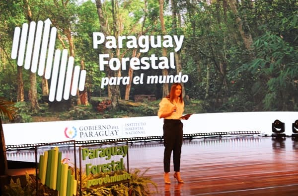 Paraguay lanza innovador portal para monitorear bosques y uso de la tierra